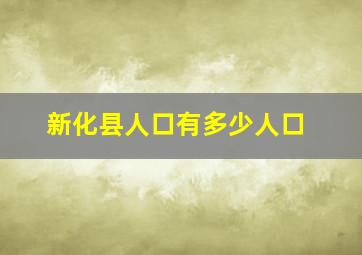 新化县人口有多少人口