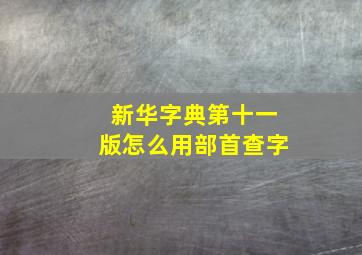 新华字典第十一版怎么用部首查字