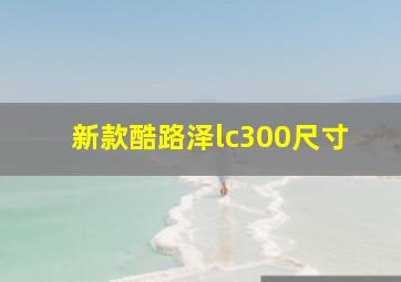 新款酷路泽lc300尺寸