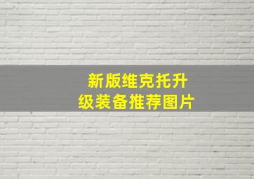 新版维克托升级装备推荐图片