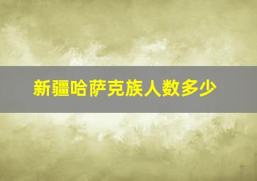 新疆哈萨克族人数多少