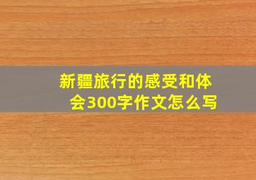 新疆旅行的感受和体会300字作文怎么写