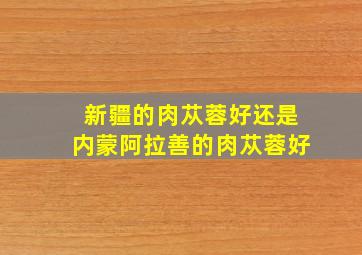 新疆的肉苁蓉好还是内蒙阿拉善的肉苁蓉好