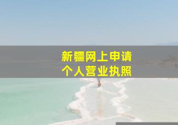 新疆网上申请个人营业执照