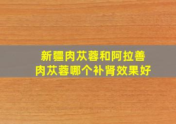 新疆肉苁蓉和阿拉善肉苁蓉哪个补肾效果好