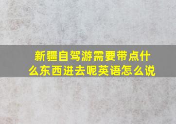 新疆自驾游需要带点什么东西进去呢英语怎么说