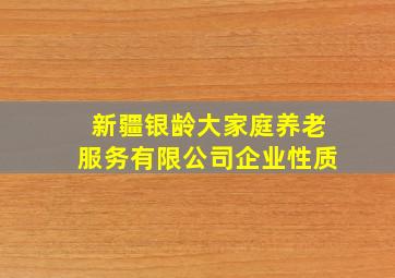 新疆银龄大家庭养老服务有限公司企业性质