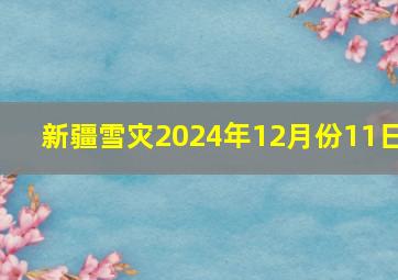 新疆雪灾2024年12月份11日