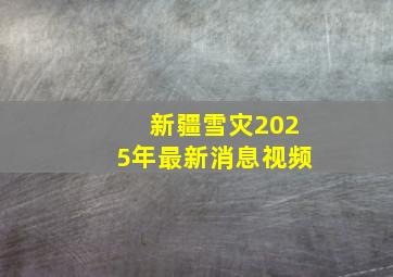 新疆雪灾2025年最新消息视频