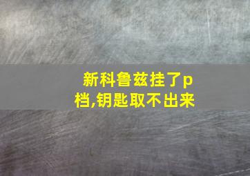 新科鲁兹挂了p档,钥匙取不出来