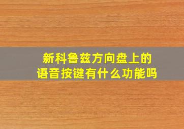 新科鲁兹方向盘上的语音按键有什么功能吗