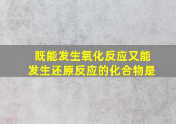 既能发生氧化反应又能发生还原反应的化合物是