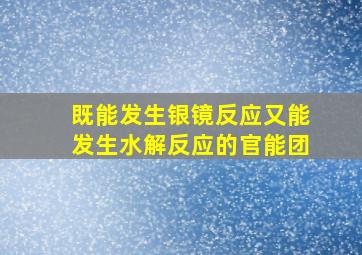 既能发生银镜反应又能发生水解反应的官能团