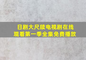 日剧大尺牍电视剧在线观看第一季全集免费播放