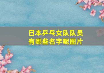 日本乒乓女队队员有哪些名字呢图片