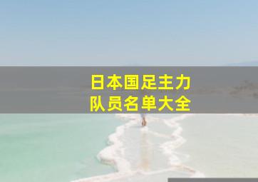 日本国足主力队员名单大全