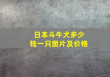 日本斗牛犬多少钱一只图片及价格