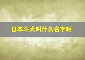 日本斗犬叫什么名字啊