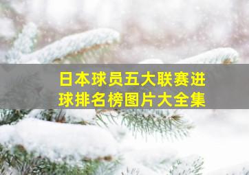 日本球员五大联赛进球排名榜图片大全集