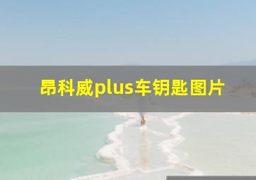 昂科威plus车钥匙图片