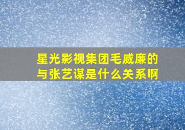 星光影视集团毛威廉的与张艺谋是什么关系啊