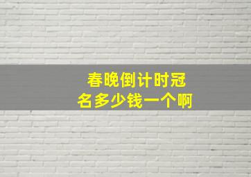 春晚倒计时冠名多少钱一个啊