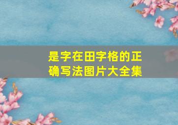 是字在田字格的正确写法图片大全集