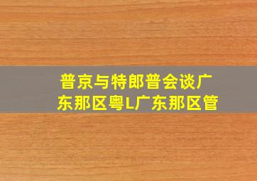 普京与特郎普会谈广东那区粤L广东那区管