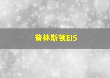 普林斯顿EIS