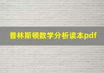 普林斯顿数学分析读本pdf