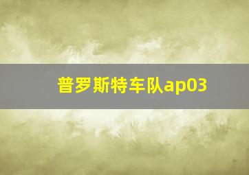 普罗斯特车队ap03