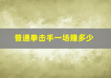 普通拳击手一场赚多少