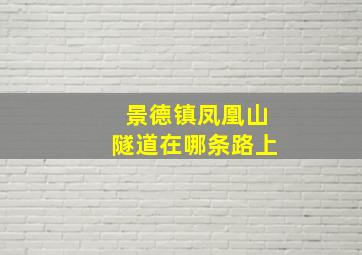 景德镇凤凰山隧道在哪条路上