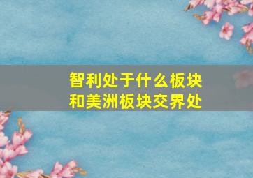 智利处于什么板块和美洲板块交界处