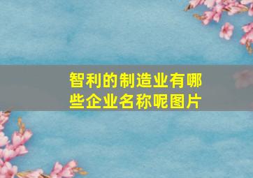 智利的制造业有哪些企业名称呢图片