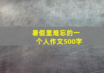 暑假里难忘的一个人作文500字