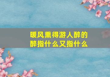 暖风熏得游人醉的醉指什么又指什么