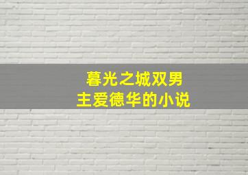 暮光之城双男主爱德华的小说