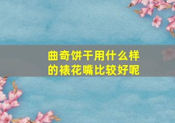 曲奇饼干用什么样的裱花嘴比较好呢