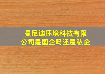 曼尼迪环境科技有限公司是国企吗还是私企