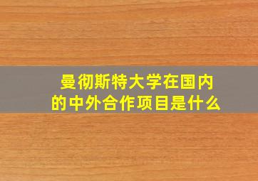 曼彻斯特大学在国内的中外合作项目是什么