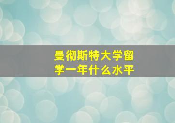 曼彻斯特大学留学一年什么水平