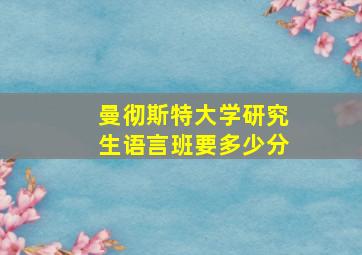 曼彻斯特大学研究生语言班要多少分