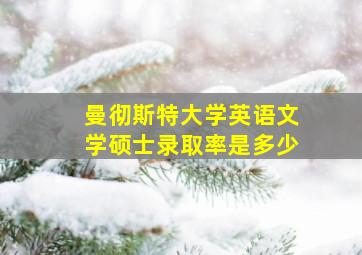 曼彻斯特大学英语文学硕士录取率是多少