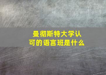 曼彻斯特大学认可的语言班是什么