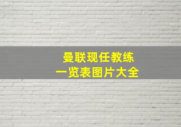 曼联现任教练一览表图片大全