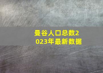 曼谷人口总数2023年最新数据