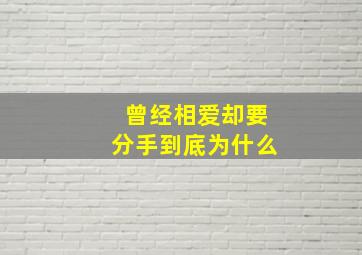 曾经相爱却要分手到底为什么