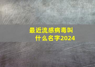 最近流感病毒叫什么名字2024