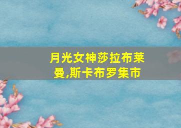 月光女神莎拉布莱曼,斯卡布罗集市